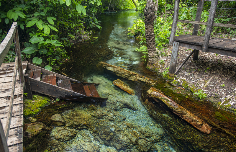 Bonito - Photo by Hudson Garcia (19)